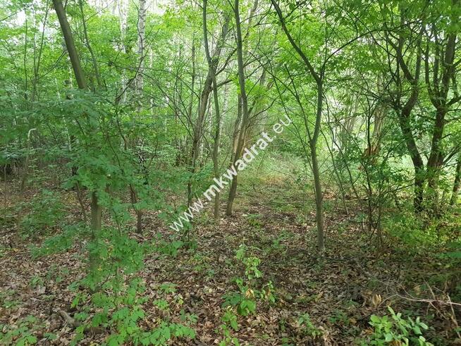 działka siedliskowa przy ulicy gminnej