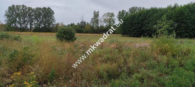 Dom parterowy stan surowy Budy Zosine