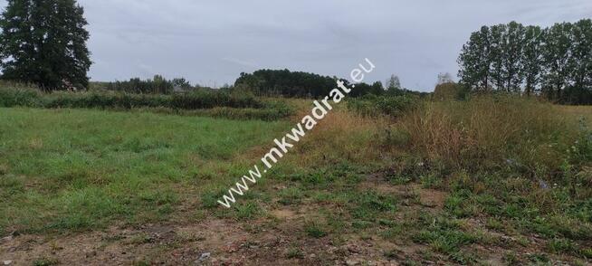 Dom parterowy stan surowy Budy Zosine