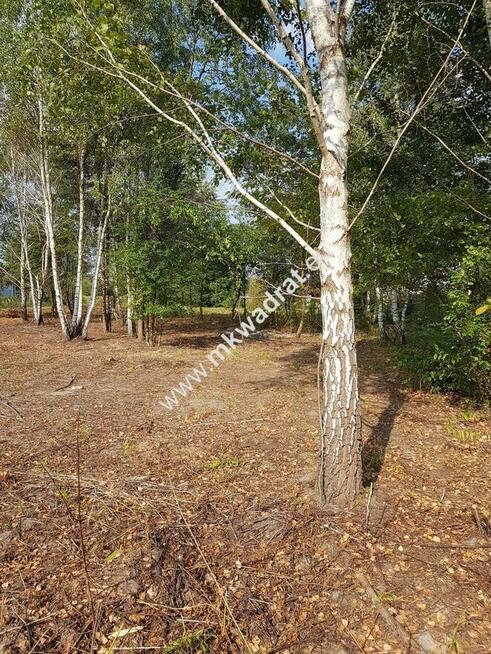 Budowlana DZIAŁKA DO PODZIAŁU pod domy 2 lokalowe