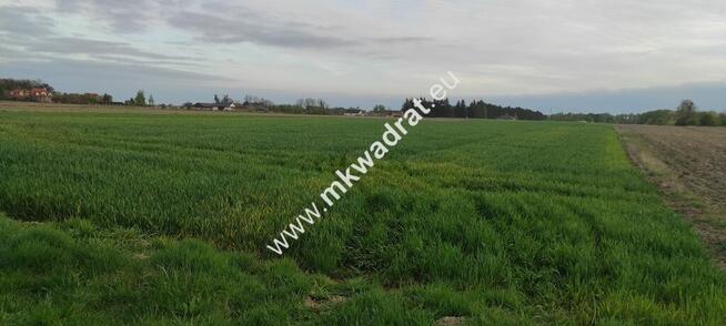 3416m2 Pasikonie k/Kampinosu z warunkami zabudowy!