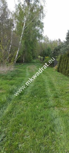 3416m2 Pasikonie k/Kampinosu z warunkami zabudowy!
