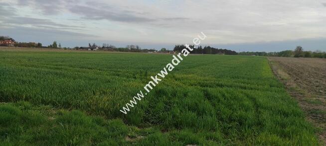 3416m2 Pasikonie k/Kampinosu z warunkami zabudowy!