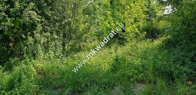 Osowiec gm. Żabia Wola | 1653m2 | narożna | MPZP