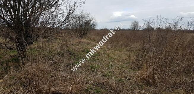 działka pod bliźniak 2-lokalowy Okazja! LUX