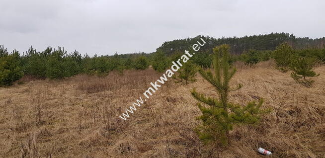 CIEKAWA OFERTA W NISKIEJ CENIE