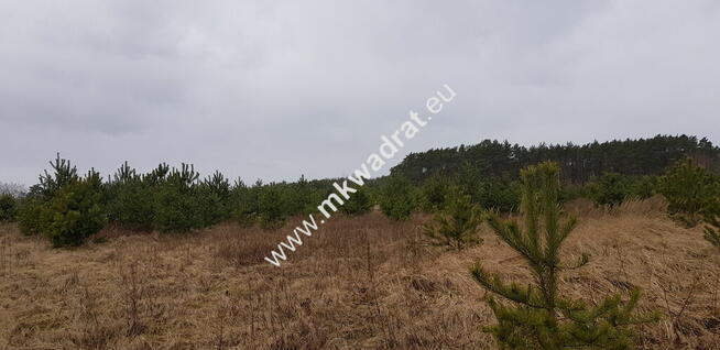 CIEKAWA OFERTA W NISKIEJ CENIE