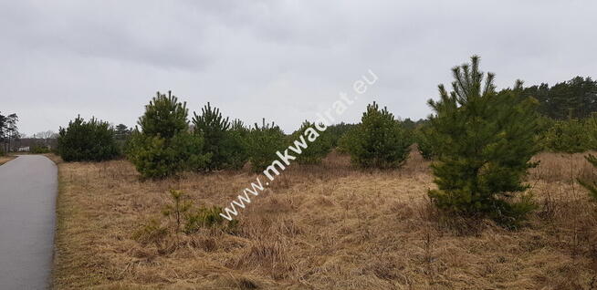 CIEKAWA OFERTA W NISKIEJ CENIE