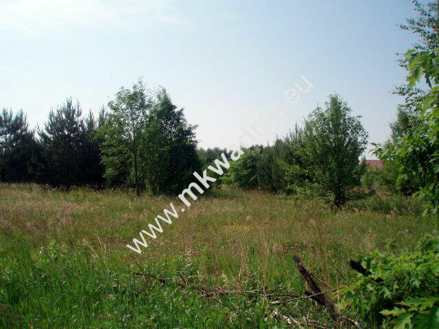 działka usługowa z MPZP 50x78