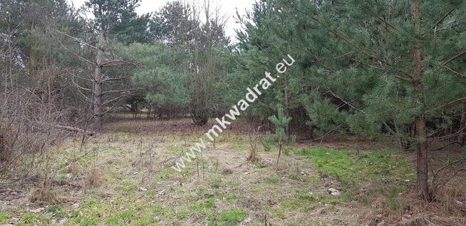 działka usługowa z MPZP 50x78