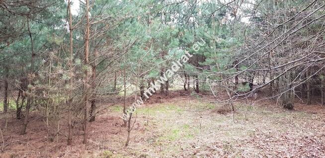 działka usługowa z MPZP 50x78