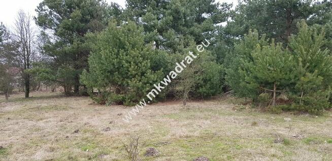 działka usługowa z MPZP 50x78