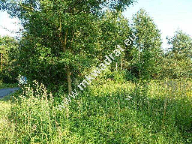 Działka Budy zaklasztorne