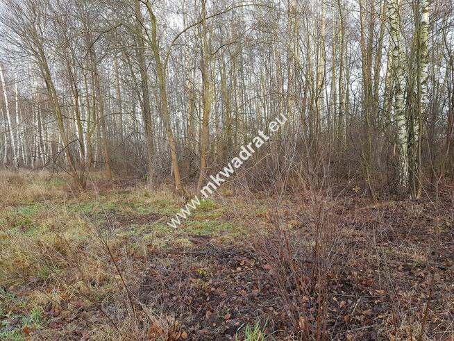 Super działka z planem i mediami w otulinie lasu !