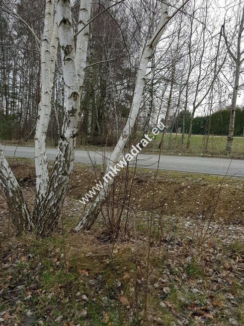 działka budowlana  pod dom 2-lokalowy