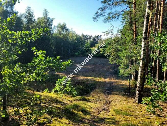 Działka 1000m2 Kazuń-Bielany z MPZP