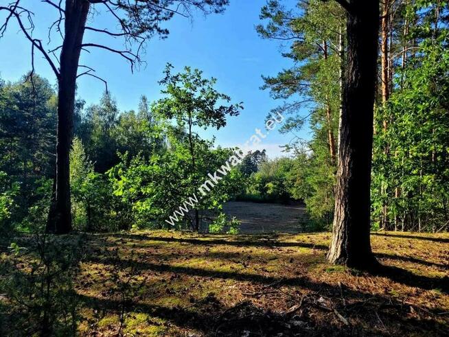Działka 1000m2 Kazuń-Bielany z MPZP