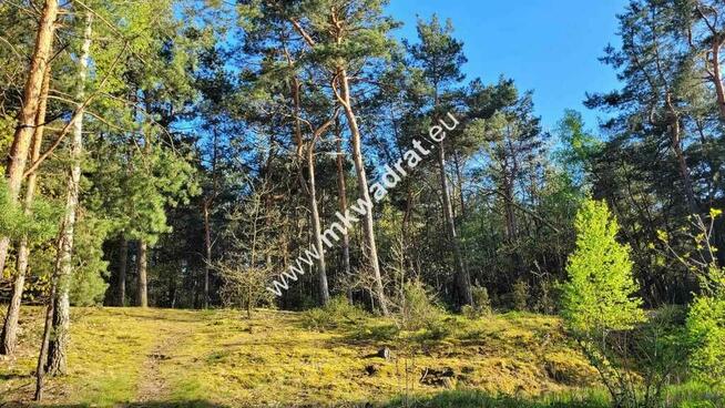 Działka 1000m2 Kazuń-Bielany z MPZP