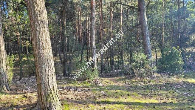 Działka 1000m2 Kazuń-Bielany z MPZP