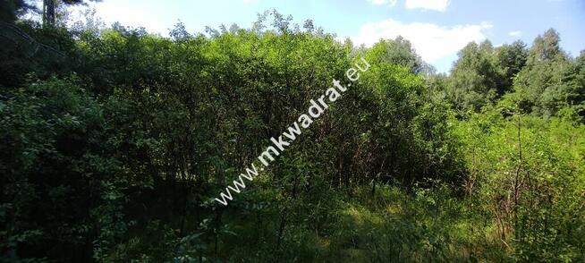 Działka 1000m2 Kazuń-Bielany z MPZP