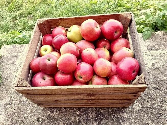 Fartuchy robocze firmy Rates.pl producent odzieży tel.513737