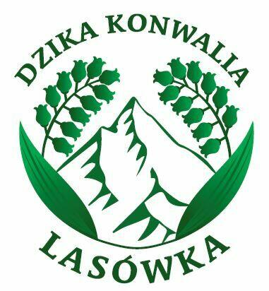 Ferie w Górach? Zieleniec Lasówka www.dzikakonwalia.pl