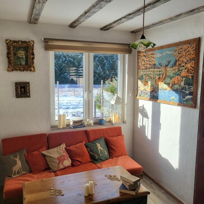 Ferie w Górach? Zieleniec Ski Arena Lasówka