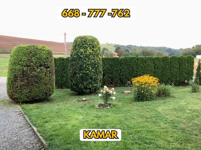 Koszenie trawy, przycinanie koron drzew i drzewek, żywopłot