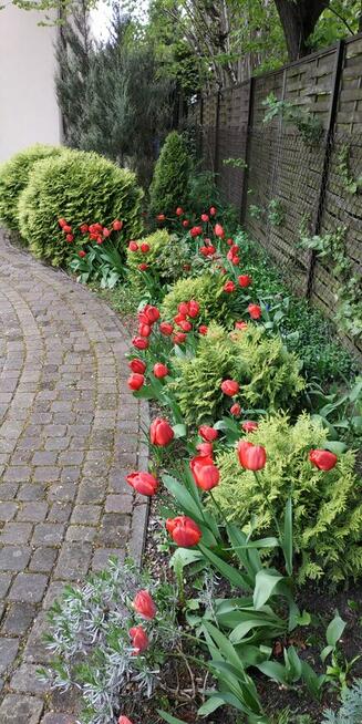 Sprzedam willę w Centrum Łodzi bezpośrednio