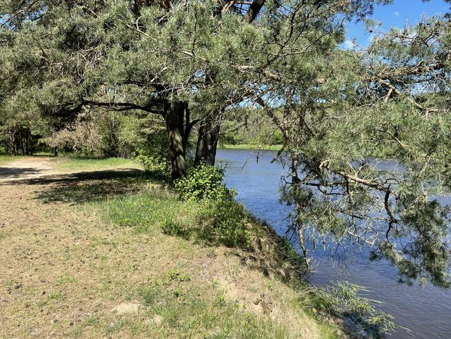 Działka nad rzeką Narew (Szablak). Bezpośrednio.