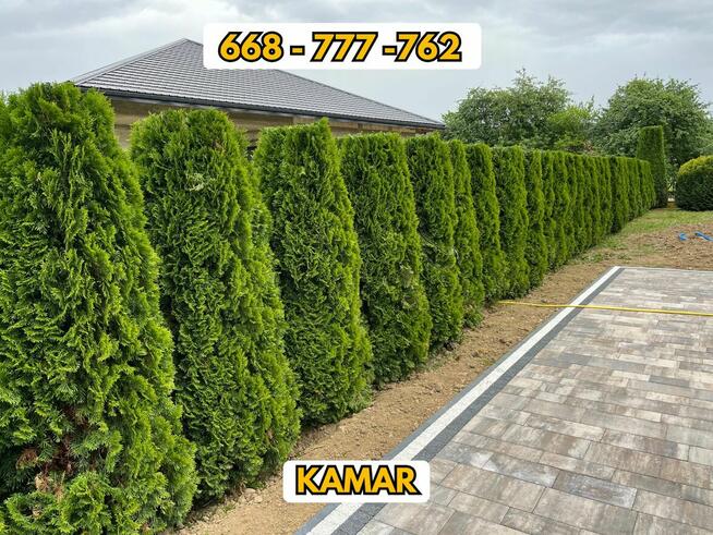 Koszenie trawy, przycinanie koron drzew i drzewek, żywopłot