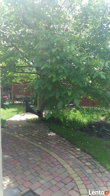 Sprzedam willę w Centrum Łodzi bezpośrednio