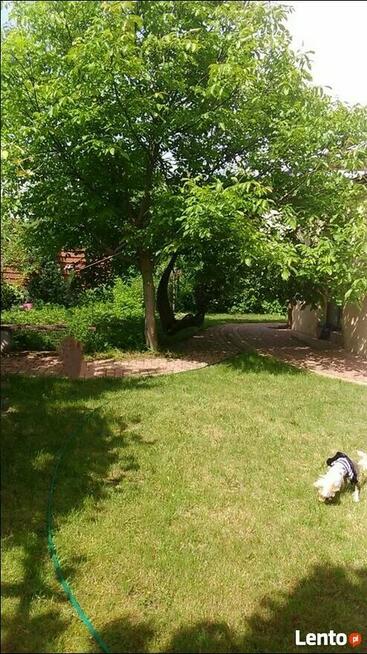 Sprzedam willę w Centrum Łodzi bezpośrednio