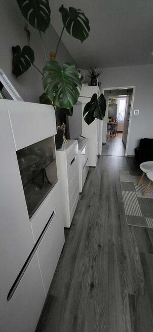 Mieszkanie 2-pokojowe 44,5m2