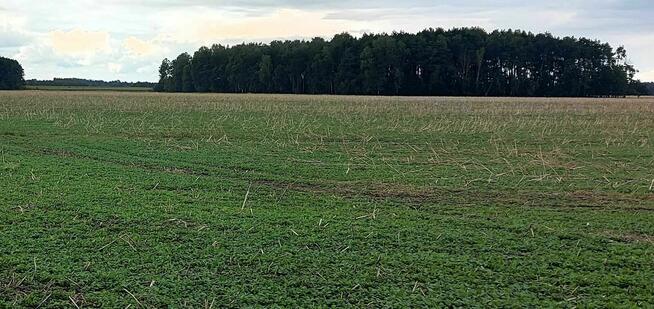 Działki rolne - orne 2,20 ha gmina Dębowa Kłoda