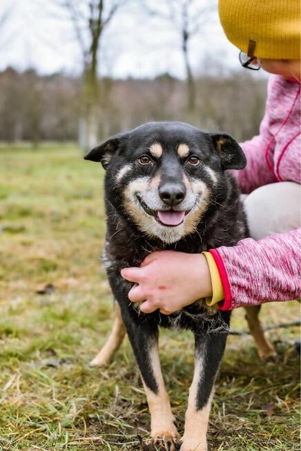 Zygmunt- niewidzialny cudowny staruszek szuka domu - adopcja