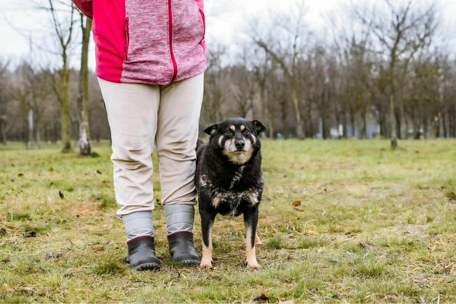 Zygmunt- niewidzialny cudowny staruszek szuka domu - adopcja