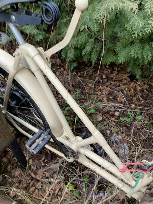 Riksza wózek na lody lub kawiarenka rower gastronomiczny