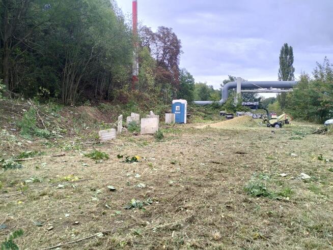 Wycinka drzew, przycinka gałęzi i czyszczenie