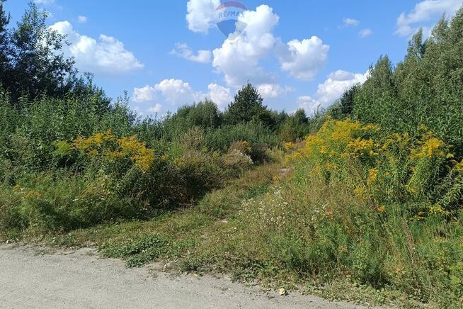 Działka Skaryszew k/Radomia, ul. Zielona