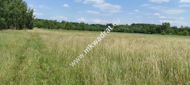 Wyjątkowa Działka rolna do podziału na budowlane!