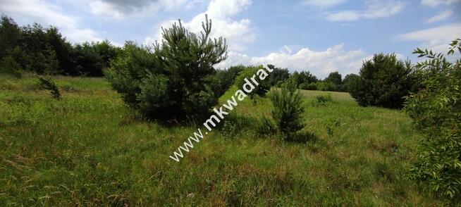 Wyjątkowa Działka rolna do podziału na budowlane!