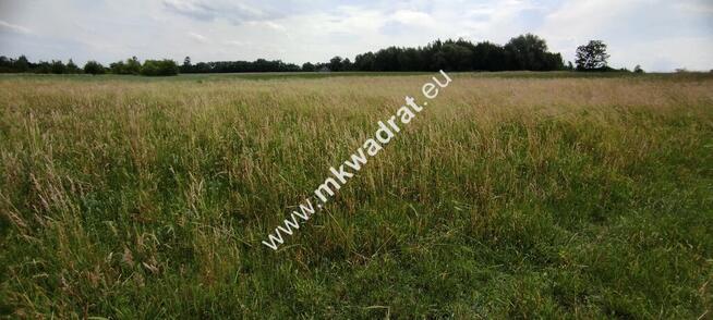 Wyjątkowa Działka rolna do podziału na budowlane!