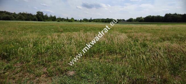 Wyjątkowa Działka rolna do podziału na budowlane!