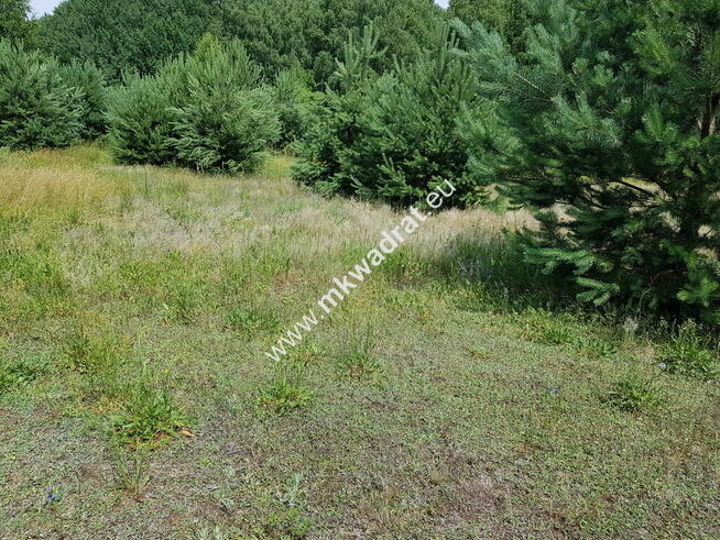 DZIAŁKA BUDOWLANA RUSIEC – blisko las i szkoła