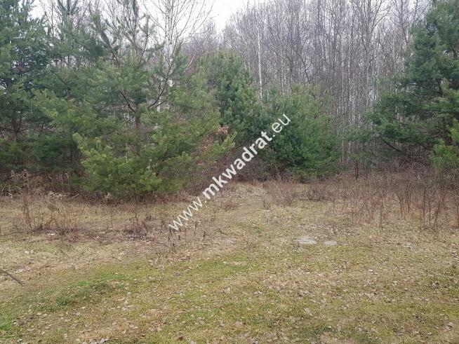 DZIAŁKA BUDOWLANA RUSIEC – blisko las i szkoła
