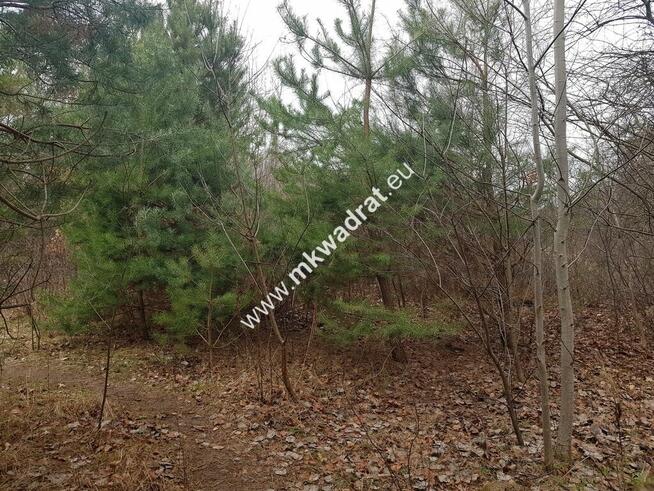 DZIAŁKA BUDOWLANA RUSIEC – blisko las i szkoła