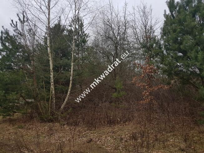 DZIAŁKA BUDOWLANA RUSIEC – blisko las i szkoła