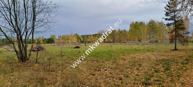 Zboiska gm. Radziejowice | MPZP | 1300m2 | S8