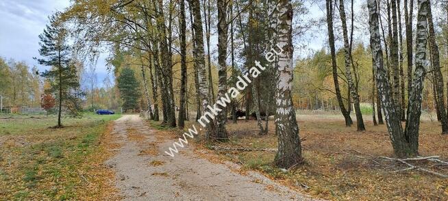 Zboiska gm. Radziejowice | MPZP | 1300m2 | S8